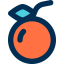 Orange icon 64x64