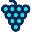 Grape icon 64x64