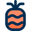 Pineapple icon 64x64