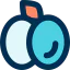 Plum icon 64x64