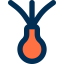 Onion icon 64x64