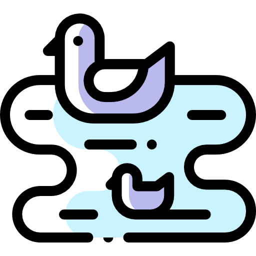 Ducks icon