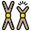 Chromosome icon 64x64