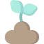 Sprout icon 64x64