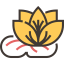 Lotus icon 64x64