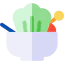 Salad icon 64x64