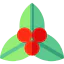 Mistletoe icon 64x64