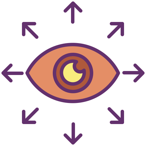 Vision icon