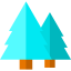 Pine icon 64x64