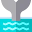 Whale icon 64x64