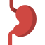 Stomach icon 64x64