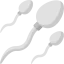 Sperm icon 64x64