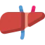 Liver icon 64x64