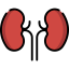 Kidney icon 64x64