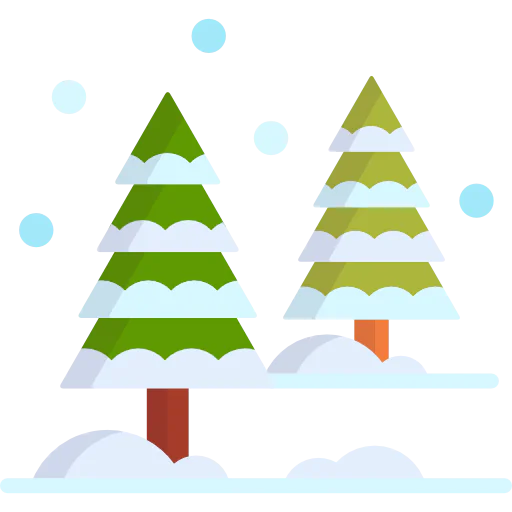 Pine tree icon