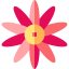 Flower icon 64x64
