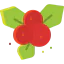 Mistletoe icon 64x64