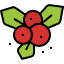 Mistletoe icon 64x64