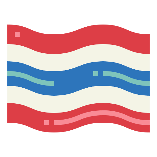 Flag icon