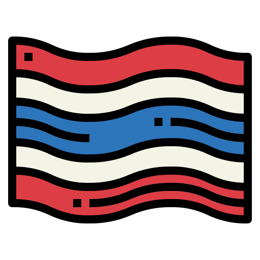 Flag icon