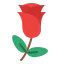 Rose 图标 64x64