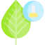 Leaf icon 64x64
