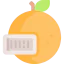 Orange icon 64x64