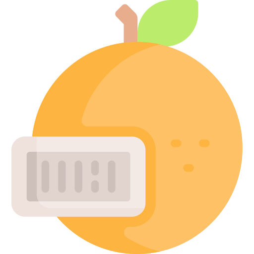 Orange icon