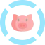 Pig icon 64x64