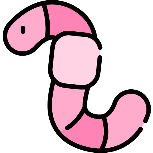 Worm 상