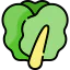 Lettuce icon 64x64