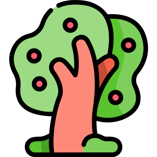 Tree 상