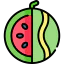 Watermelon icon 64x64