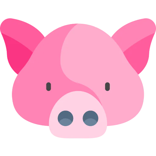 Pig 상
