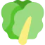 Lettuce 상 64x64