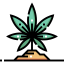 Cannabis 图标 64x64