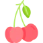 Cherry icon 64x64