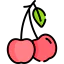 Cherry icon 64x64