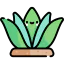Agave icon 64x64