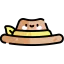 Hat icon 64x64