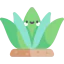 Agave 상 64x64