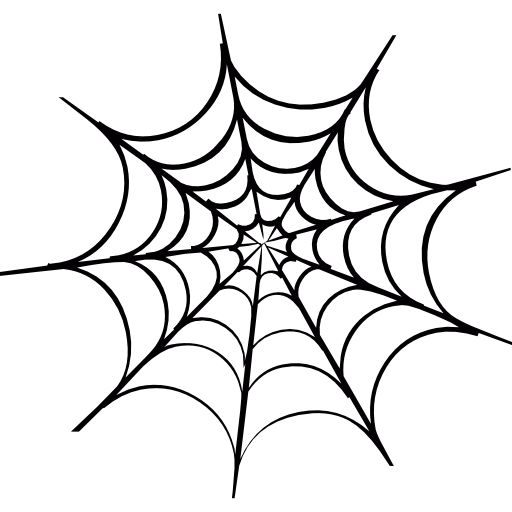 Spider web 图标
