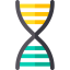 Gmo アイコン 64x64