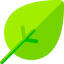 Leaf アイコン 64x64