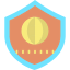 Web security icon 64x64