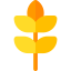 Wheat アイコン 64x64