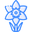 Daffodil icon 64x64