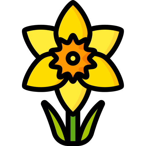 Daffodil icon