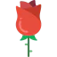 Rose icon 64x64