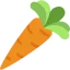 Carrot icon 64x64